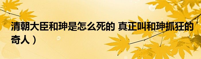 清朝大臣和珅是怎么死的 真正叫和珅抓狂的奇人）