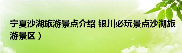 宁夏沙湖旅游景点介绍 银川必玩景点沙湖旅游景区）