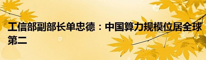 工信部副部长单忠德：中国算力规模位居全球第二