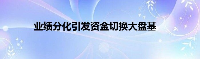 业绩分化引发资金切换大盘基