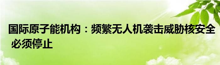 国际原子能机构：频繁无人机袭击威胁核安全 必须停止