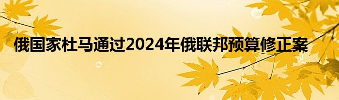 俄国家杜马通过2024年俄联邦预算修正案