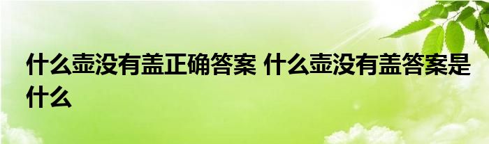 什么壶没有盖正确答案 什么壶没有盖答案是什么