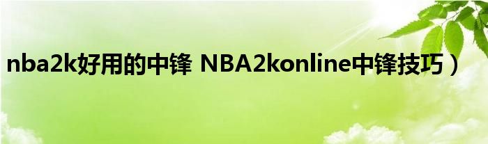 nba2k好用的中锋 NBA2konline中锋技巧）