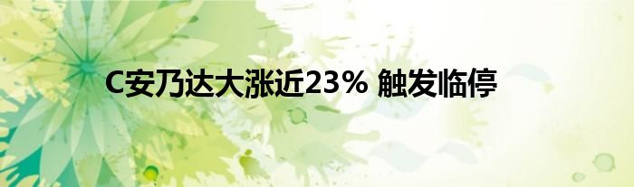 C安乃达大涨近23% 触发临停