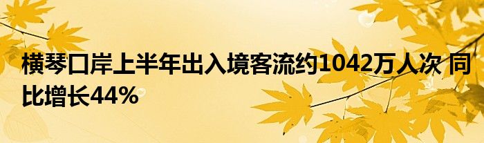 横琴口岸上半年出入境客流约1042万人次 同比增长44%