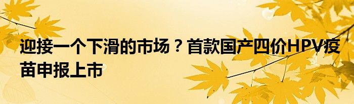 迎接一个下滑的市场？首款国产四价HPV疫苗申报上市