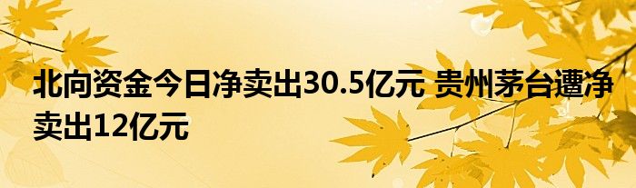 北向资金今日净卖出30.5亿元 贵州茅台遭净卖出12亿元