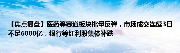 【焦点复盘】医药等赛道板块批量反弹，市场成交连续3日不足6000亿，银行等红利股集体补跌