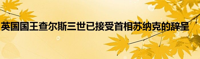 英国国王查尔斯三世已接受首相苏纳克的辞呈