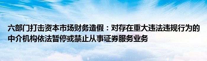 六部门打击资本市场财务造假：对存在重大违法违规行为的中介机构依法暂停或禁止从事证券服务业务