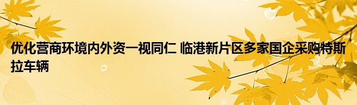 优化营商环境内外资一视同仁 临港新片区多家国企采购特斯拉车辆