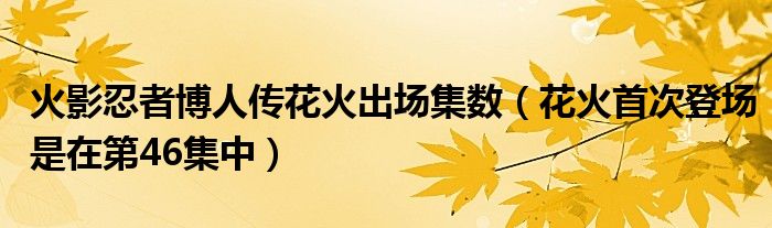 火影忍者博人传花火出场集数（花火首次登场是在第46集中）