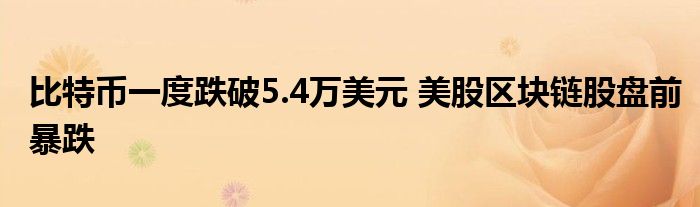 比特币一度跌破5.4万美元 美股区块链股盘前暴跌