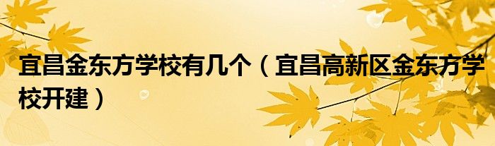 宜昌金东方学校有几个（宜昌高新区金东方学校开建）