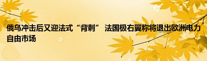 俄乌冲击后又迎法式“背刺” 法国极右翼称将退出欧洲电力自由市场