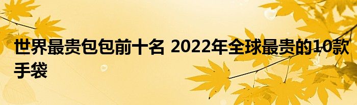 世界最贵包包前十名 2022年全球最贵的10款手袋