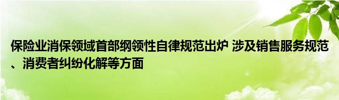 保险业消保领域首部纲领性自律规范出炉 涉及销售服务规范、消费者纠纷化解等方面