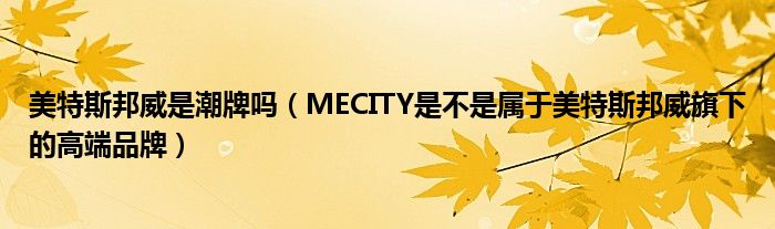 美特斯邦威是潮牌吗（MECITY是不是属于美特斯邦威旗下的高端品牌）