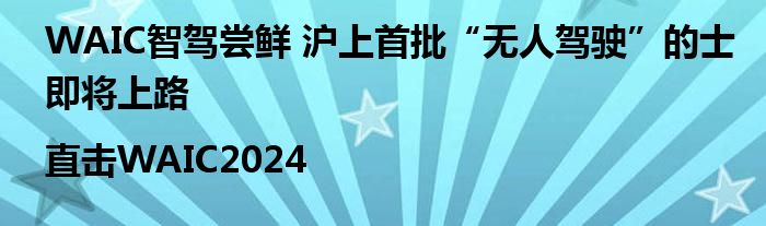 WAIC智驾尝鲜 沪上首批“无人驾驶”的士即将上路|直击WAIC2024