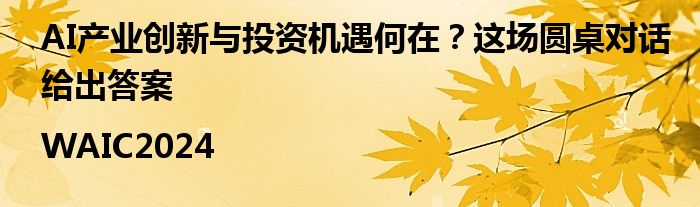 AI产业创新与投资机遇何在？这场圆桌对话给出答案|WAIC2024