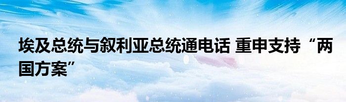 埃及总统与叙利亚总统通电话 重申支持“两国方案”