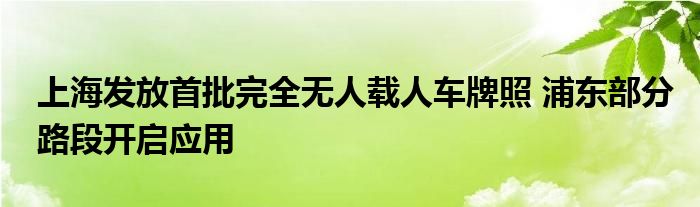 上海发放首批完全无人载人车牌照 浦东部分路段开启应用