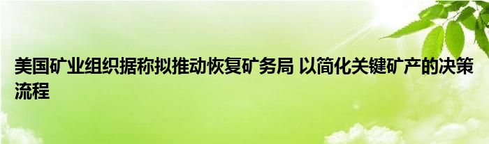 美国矿业组织据称拟推动恢复矿务局 以简化关键矿产的决策流程