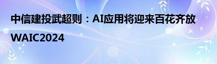 中信建投武超则：AI应用将迎来百花齐放|WAIC2024