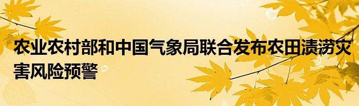 农业农村部和中国气象局联合发布农田渍涝灾害风险预警