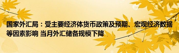 国家外汇局：受主要经济体货币政策及预期、宏观经济数据等因素影响 当月外汇储备规模下降