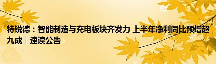 特锐德：智能制造与充电板块齐发力 上半年净利同比预增超九成｜速读公告