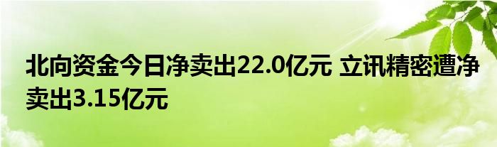 北向资金今日净卖出22.0亿元 立讯精密遭净卖出3.15亿元