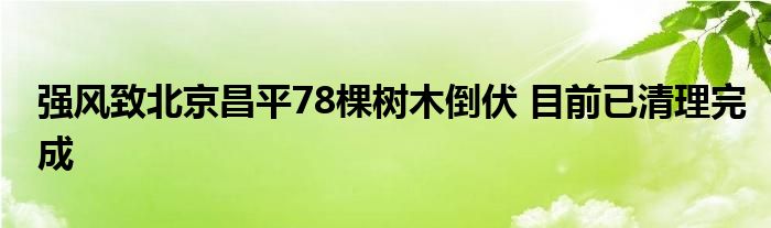 强风致北京昌平78棵树木倒伏 目前已清理完成