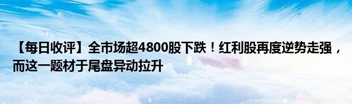 【每日收评】全市场超4800股下跌！红利股再度逆势走强，而这一题材于尾盘异动拉升