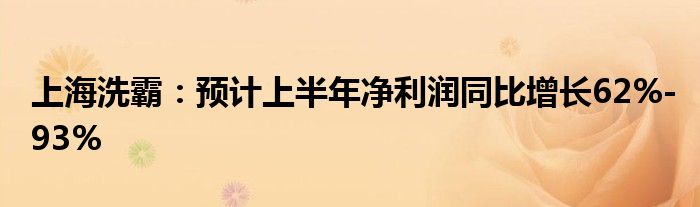 上海洗霸：预计上半年净利润同比增长62%-93%