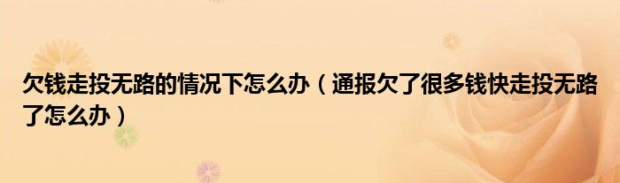 欠钱走投无路的情况下怎么办（通报欠了很多钱快走投无路了怎么办）