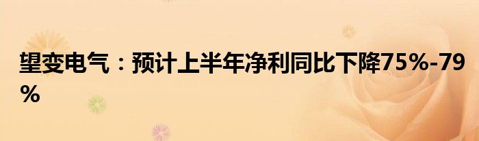 望变电气：预计上半年净利同比下降75%-79%