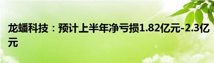 龙蟠科技：预计上半年净亏损1.82亿元-2.3亿元