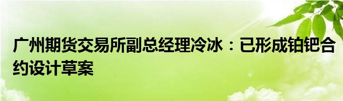 广州期货交易所副总经理冷冰：已形成铂钯合约设计草案