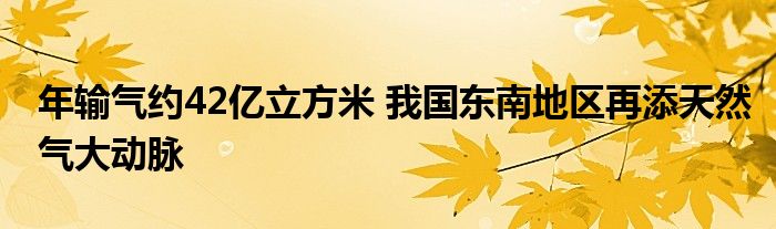 年输气约42亿立方米 我国东南地区再添天然气大动脉