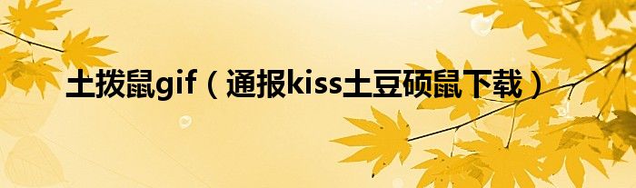 土拨鼠gif（通报kiss土豆硕鼠下载）