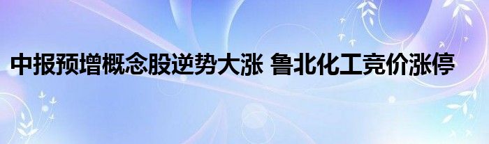 中报预增概念股逆势大涨 鲁北化工竞价涨停