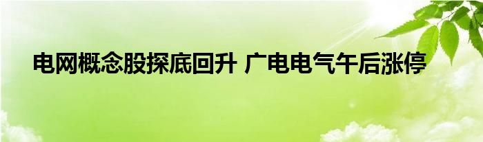 电网概念股探底回升 广电电气午后涨停