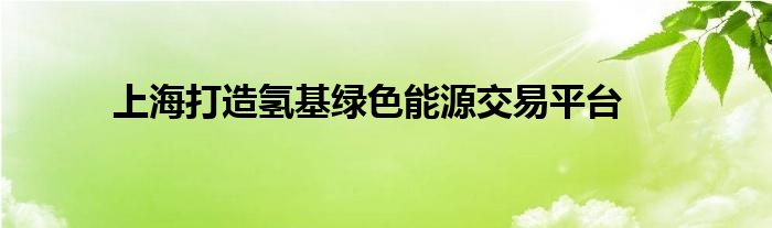 上海打造氢基绿色能源交易平台