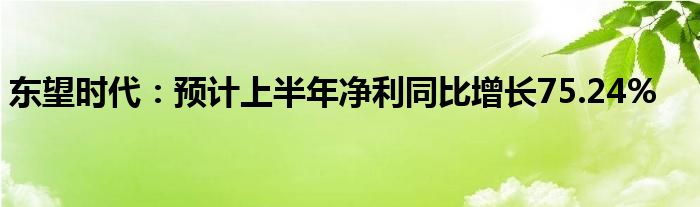 东望时代：预计上半年净利同比增长75.24%