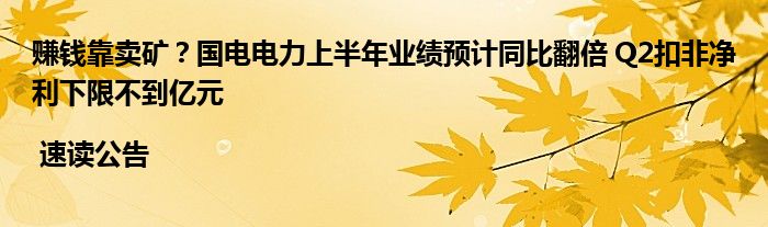 赚钱靠卖矿？国电电力上半年业绩预计同比翻倍 Q2扣非净利下限不到亿元 | 速读公告