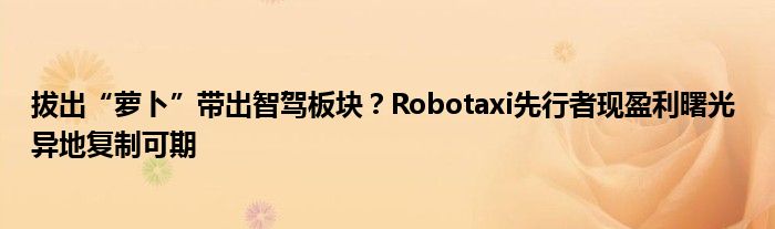 拔出“萝卜”带出智驾板块？Robotaxi先行者现盈利曙光 异地复制可期