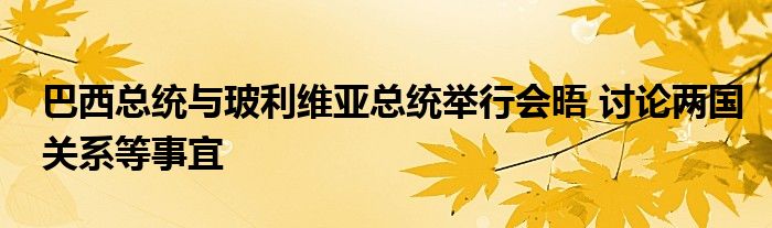 巴西总统与玻利维亚总统举行会晤 讨论两国关系等事宜