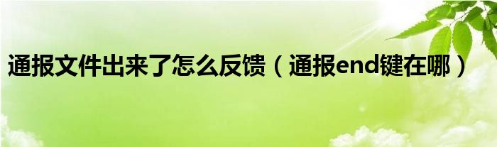 通报文件出来了怎么反馈（通报end键在哪）